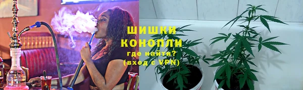 прущие грибы Алексеевка