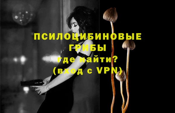 сатива Абинск
