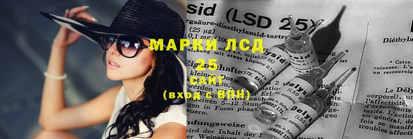 сатива Абинск