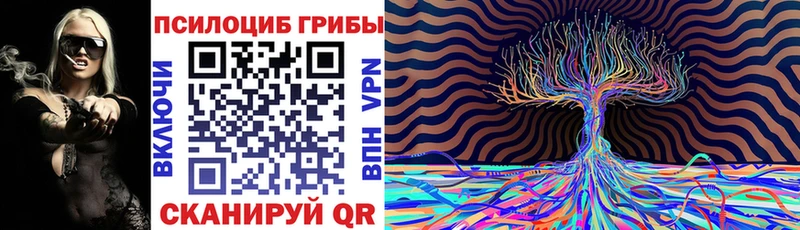 Псилоцибиновые грибы Psilocybe  Северодвинск 